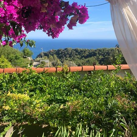 Villa D'Arte Mortola Superiore Екстер'єр фото