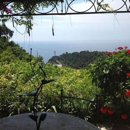 Villa D'Arte Mortola Superiore Номер фото