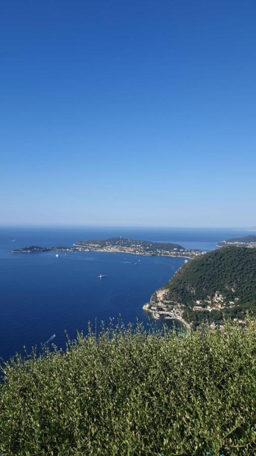 Villa D'Arte Mortola Superiore Екстер'єр фото