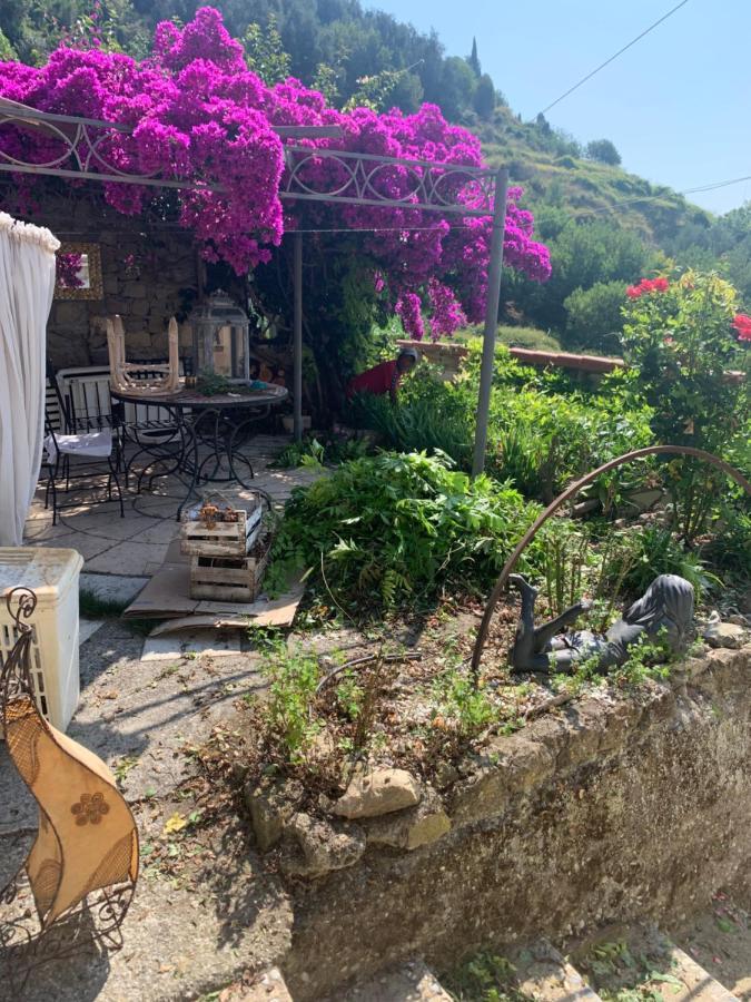 Villa D'Arte Mortola Superiore Екстер'єр фото