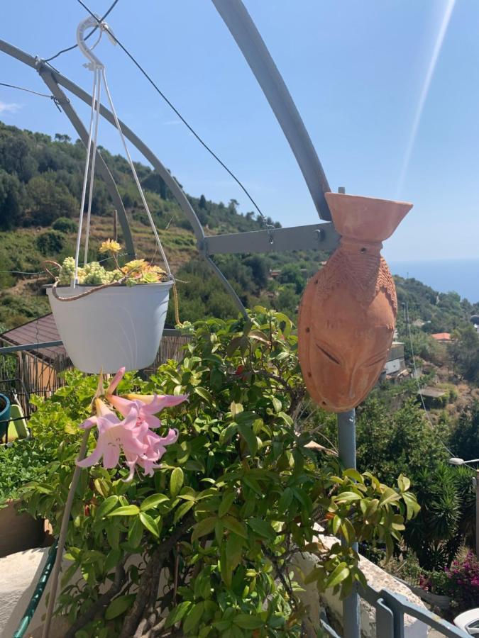 Villa D'Arte Mortola Superiore Екстер'єр фото