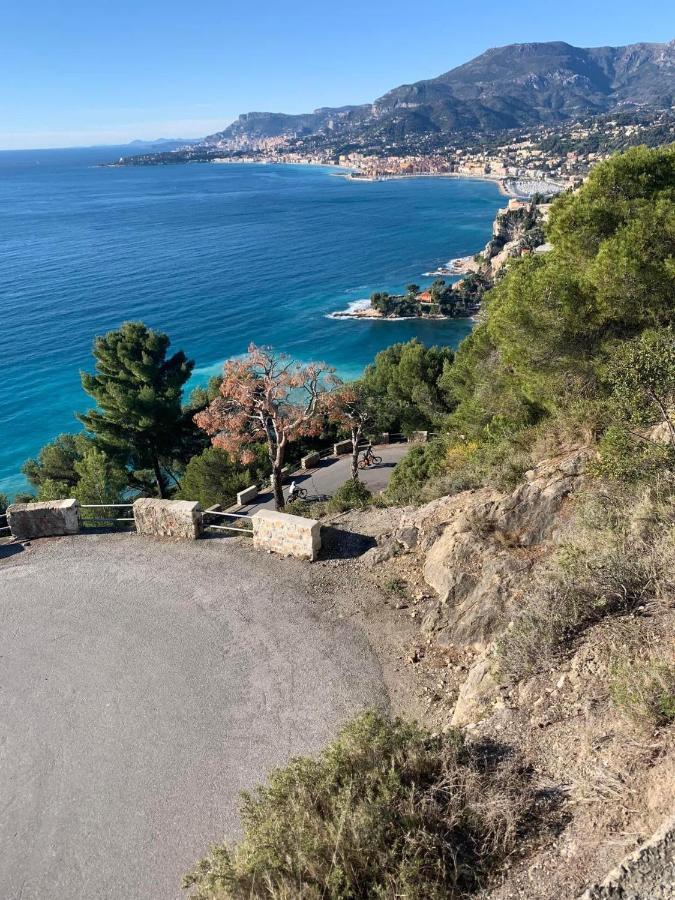 Villa D'Arte Mortola Superiore Екстер'єр фото