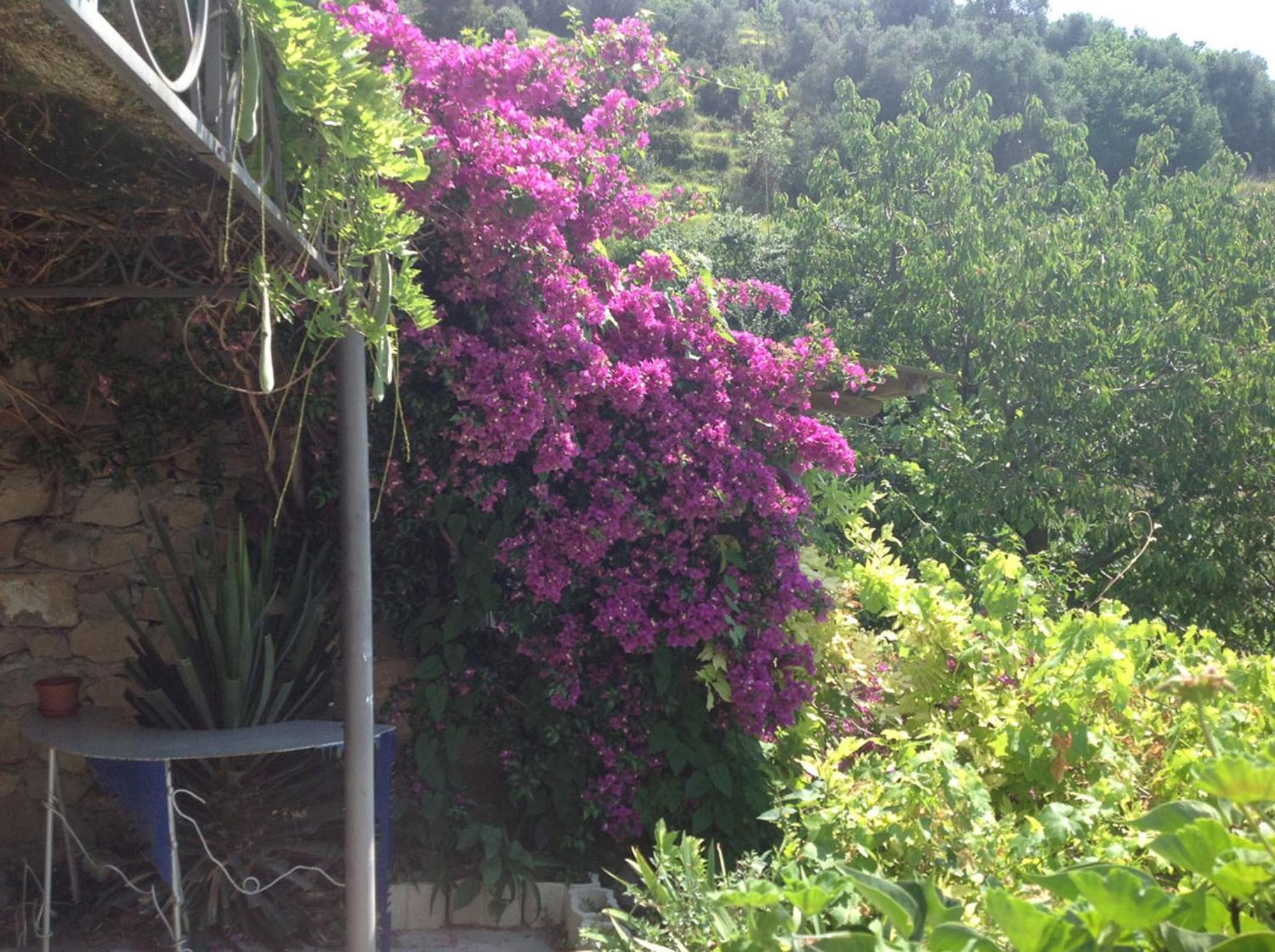 Villa D'Arte Mortola Superiore Номер фото